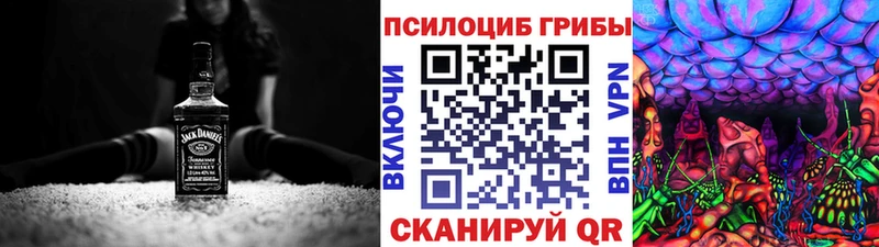 Псилоцибиновые грибы Psilocybe  Купить где  Красный Холм 